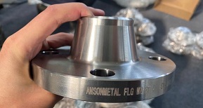 Flanges, Fittings and Retaining Rings