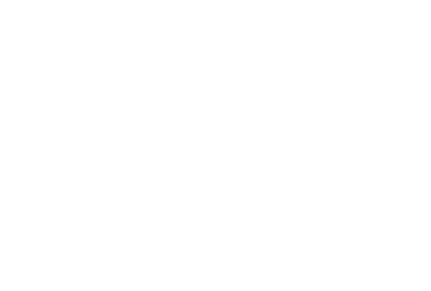ANSONMETAL